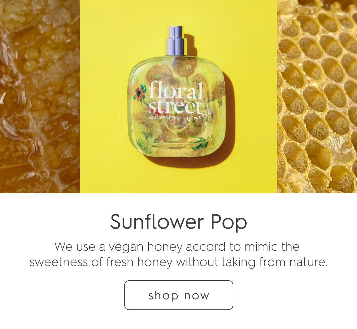 Sunflower Pop