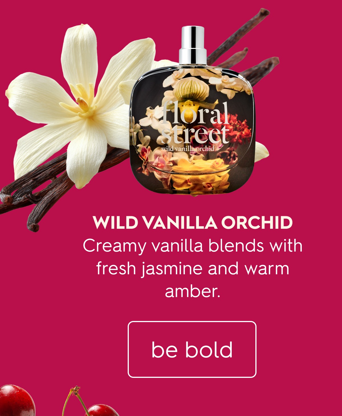 Wild Vanilla Orchid