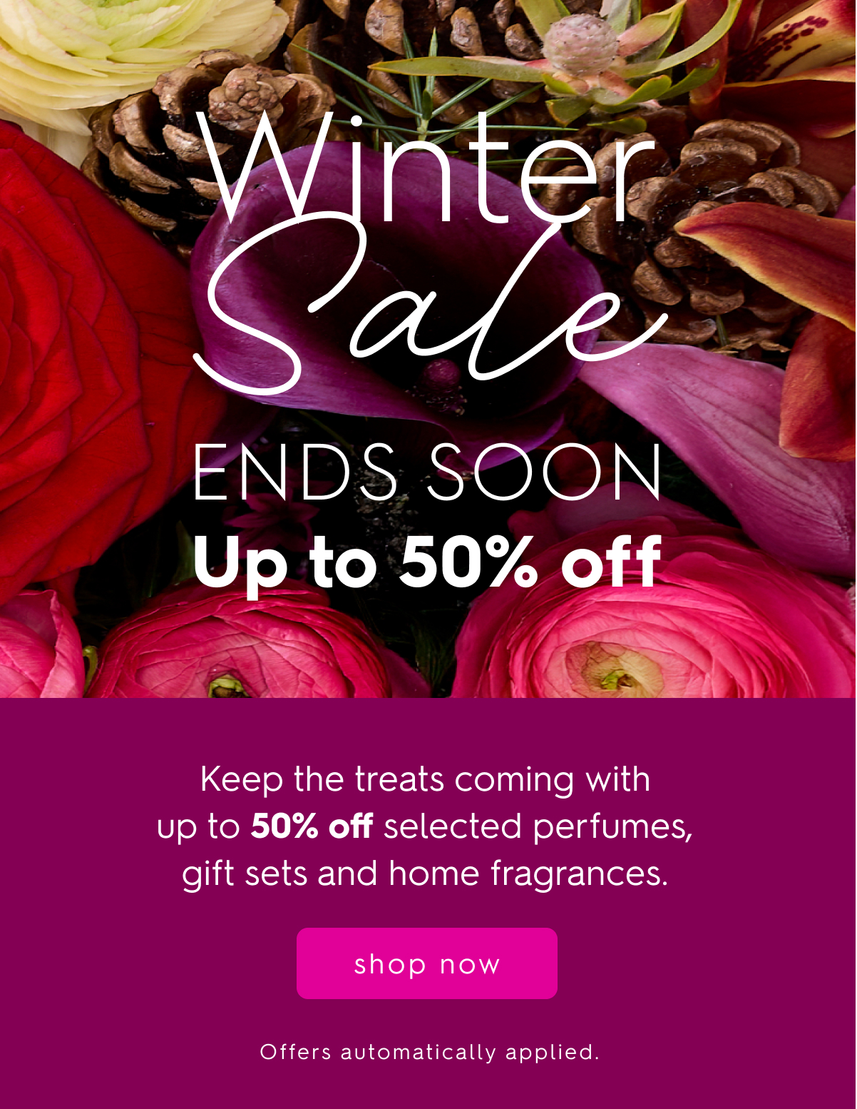 Winter Sale