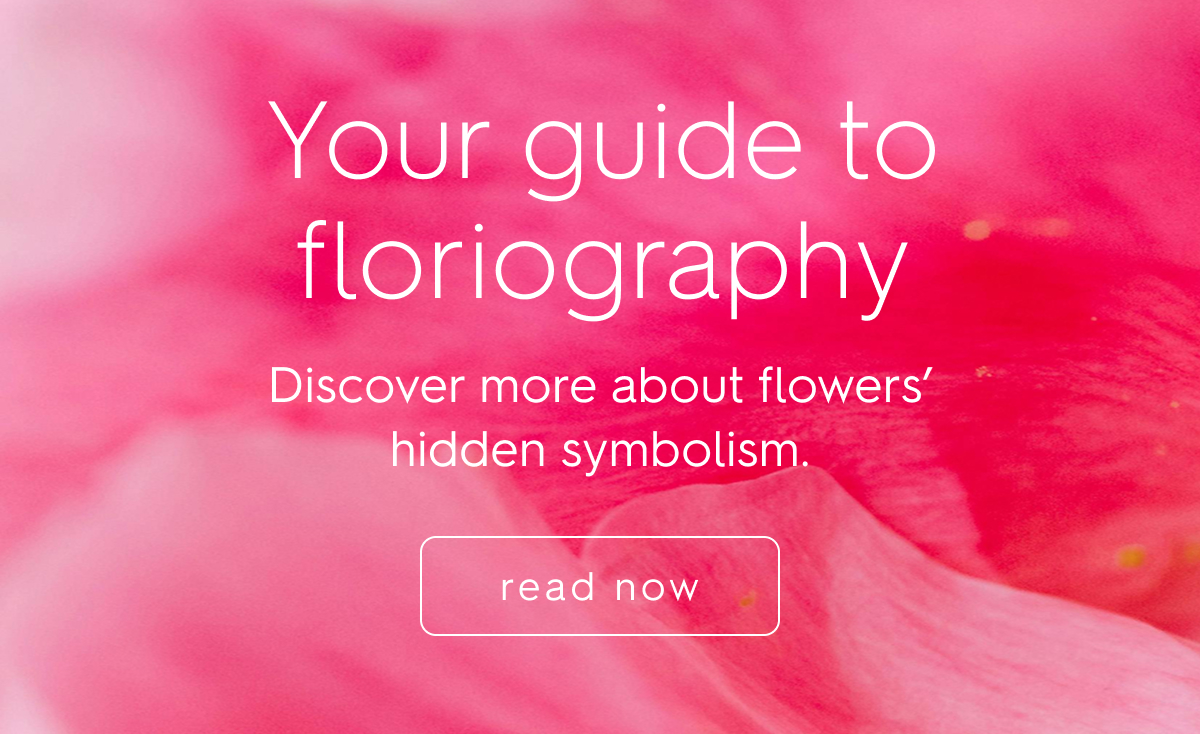 Your guide to floriography