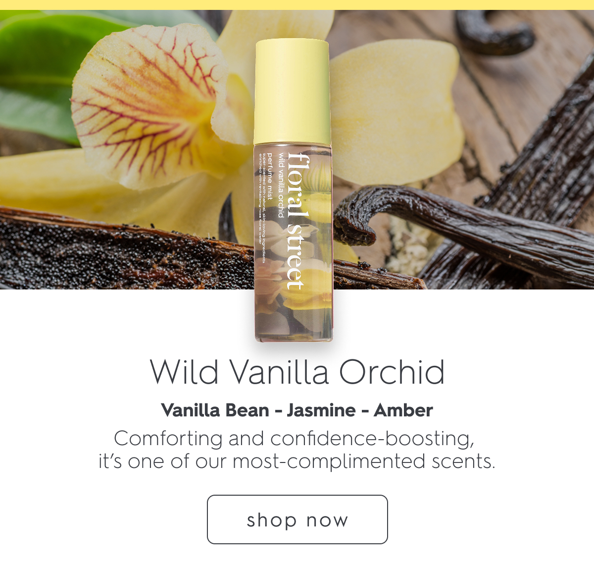 Wild Vanilla Orchid