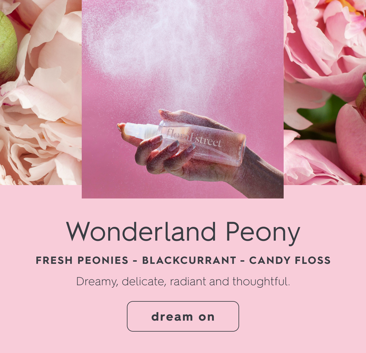Wonderland Peony