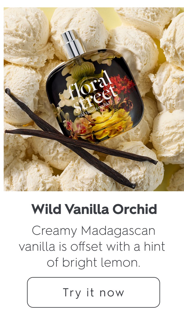 Wild Vanilla Orchid