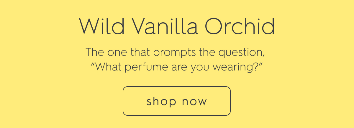 Wild Vanilla Orchid