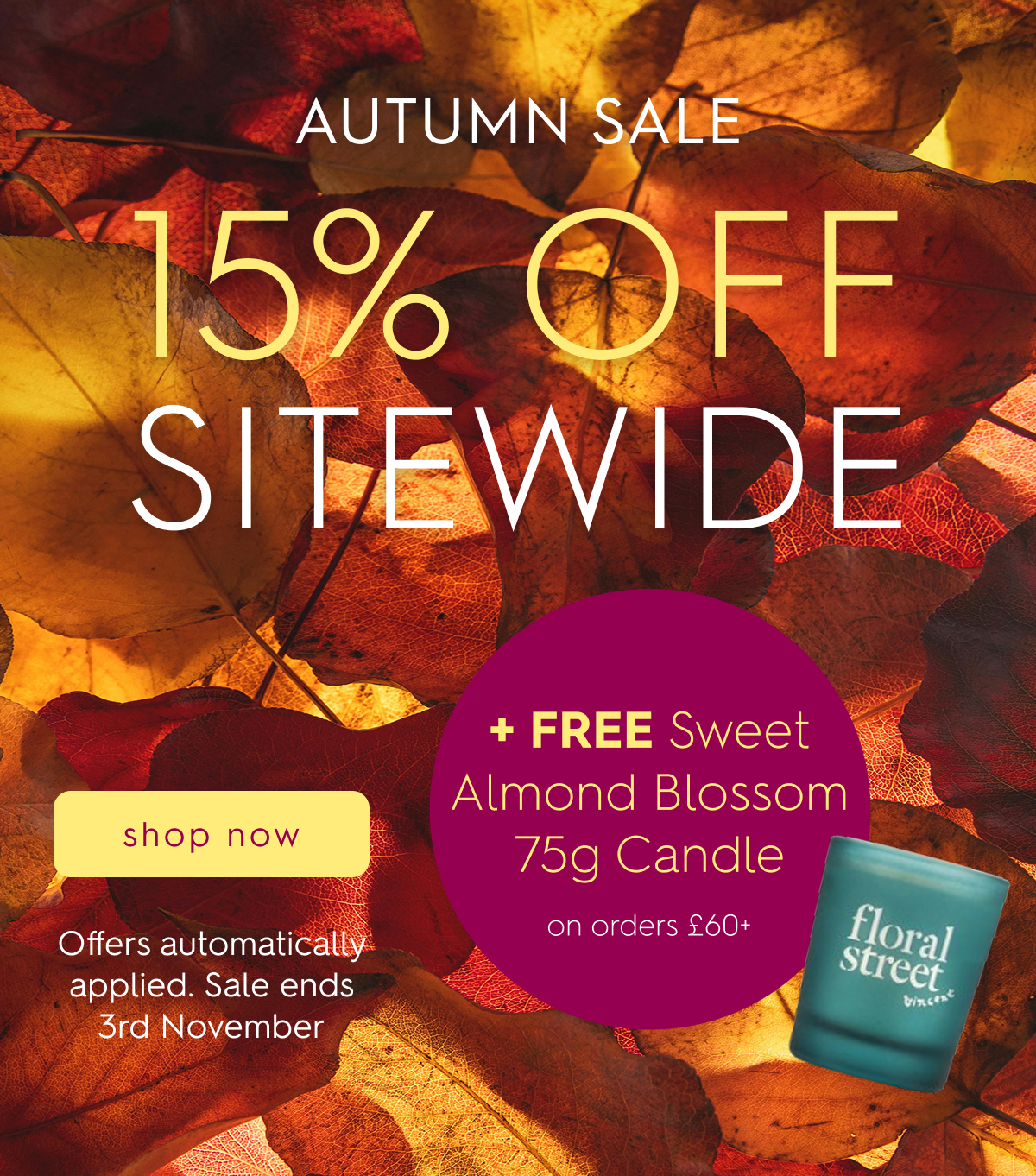 Autumn Sale