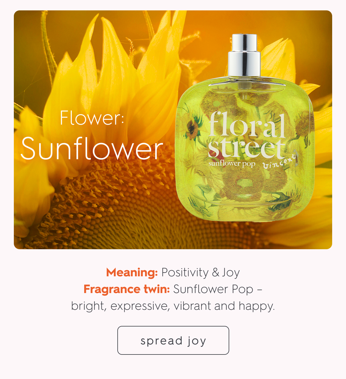Sunflower Pop Eau de Parfum
