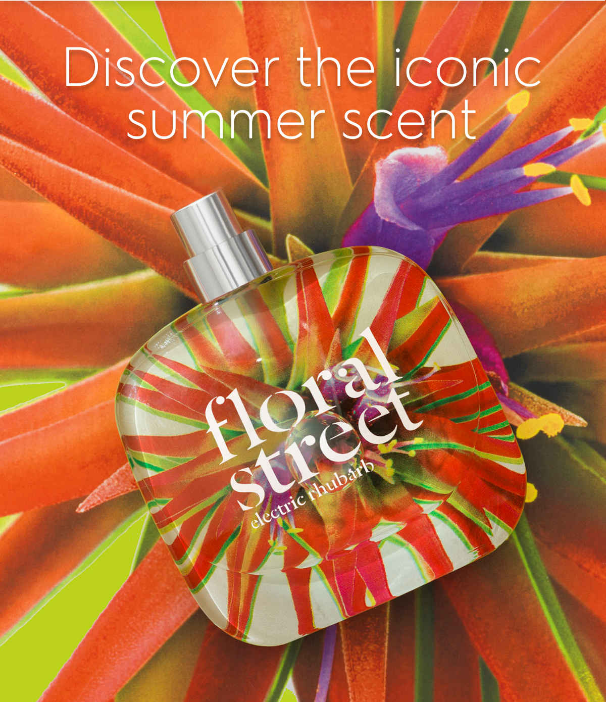Discover the iconic summer scent