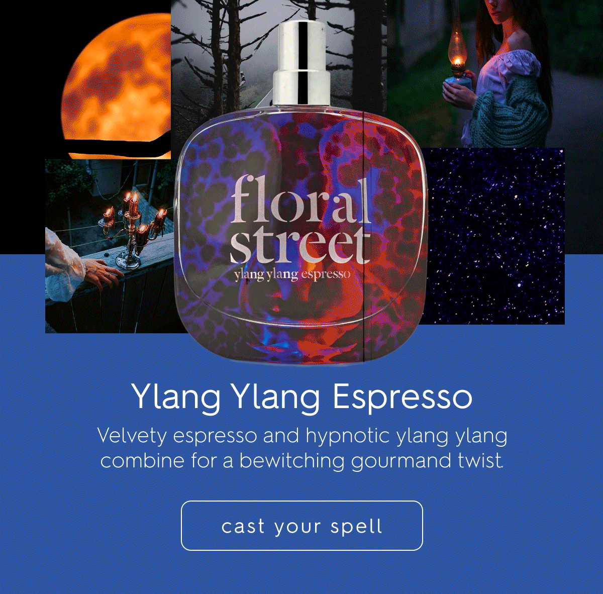 Ylang Ylang Espresso