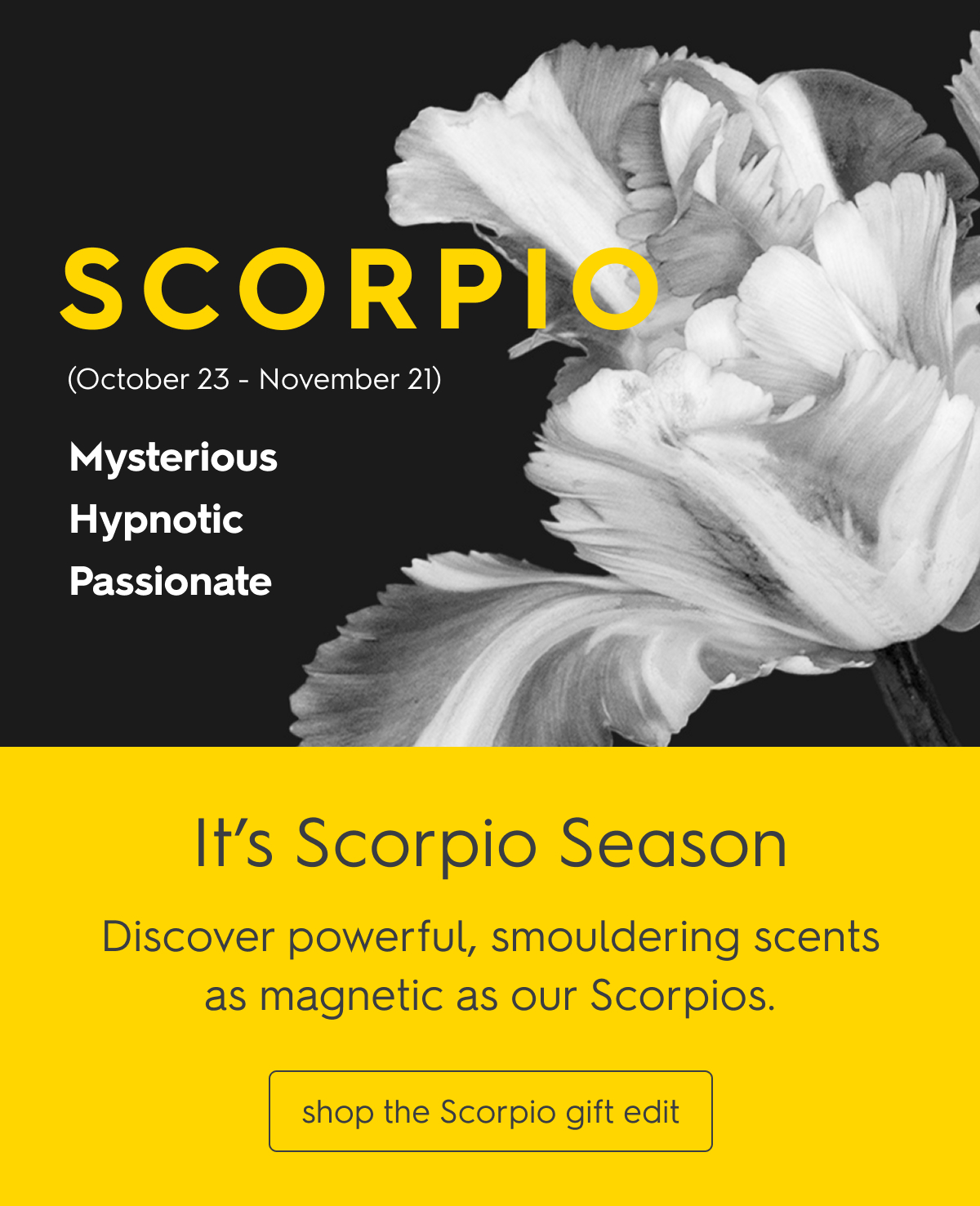 It's Scorpio Season