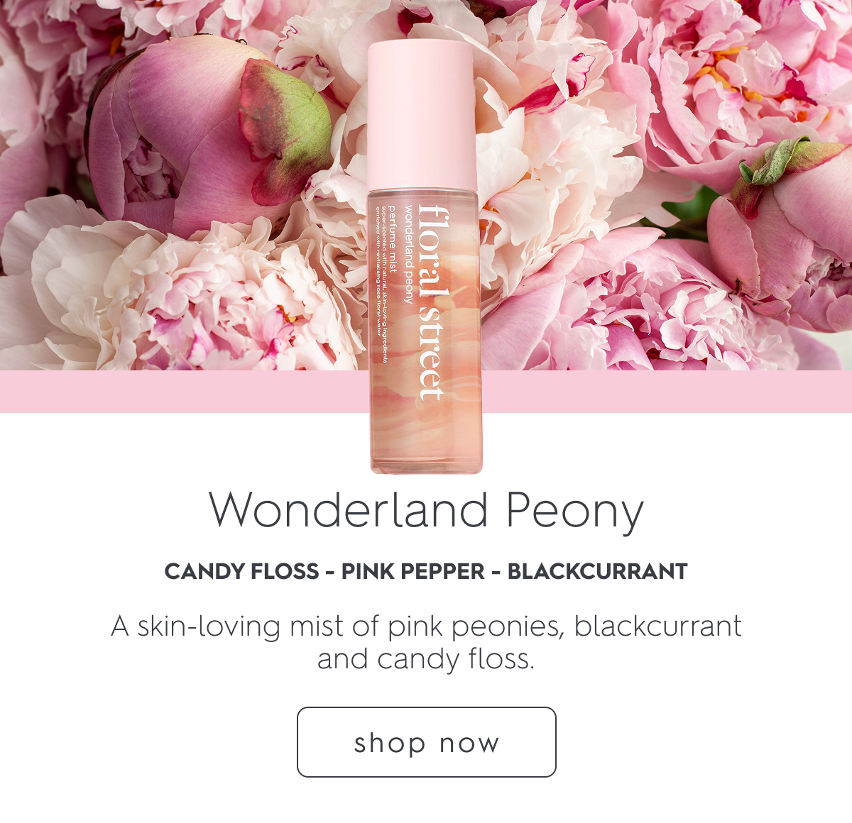 Wonderland Peony