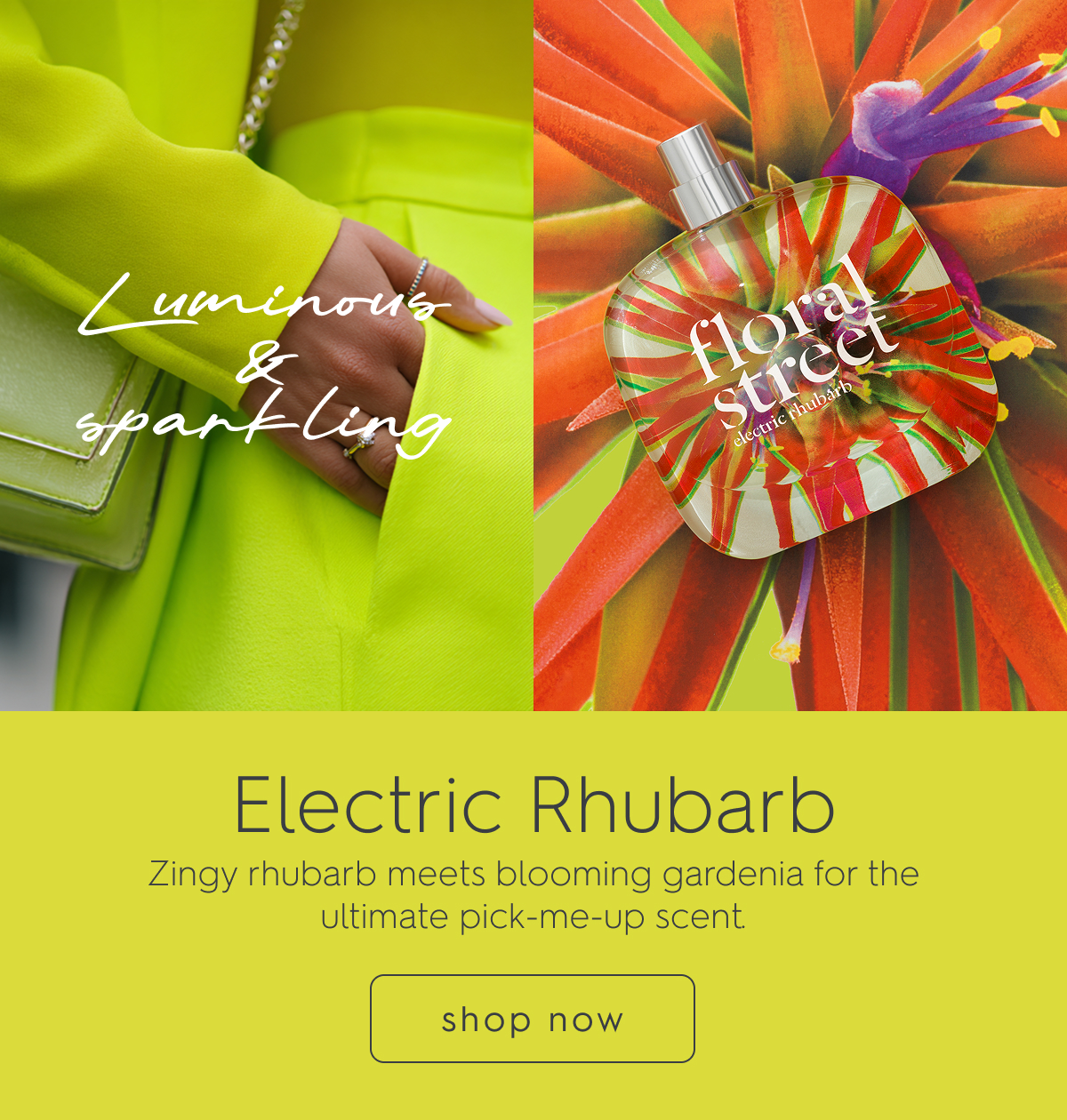 Electric Rhubarb