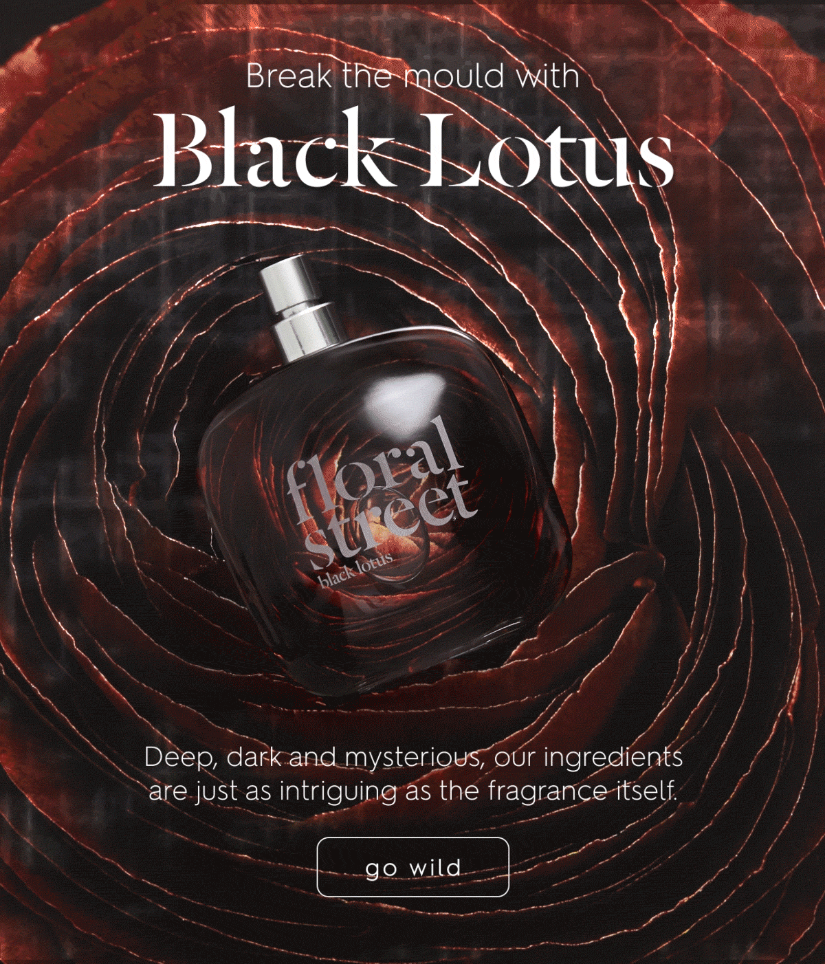 Break the mould with Black Lotus