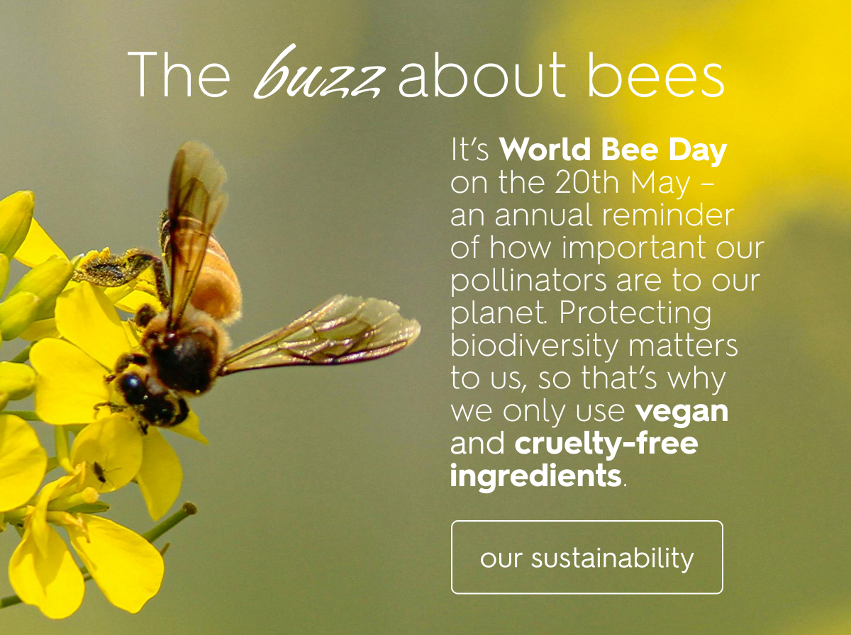 The buzz about bees