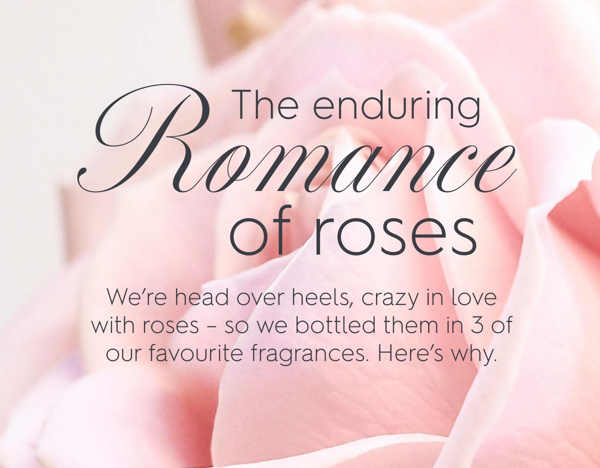The enduring romance of roses