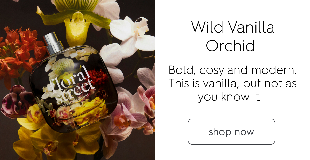 Wild Vanilla Orchid 