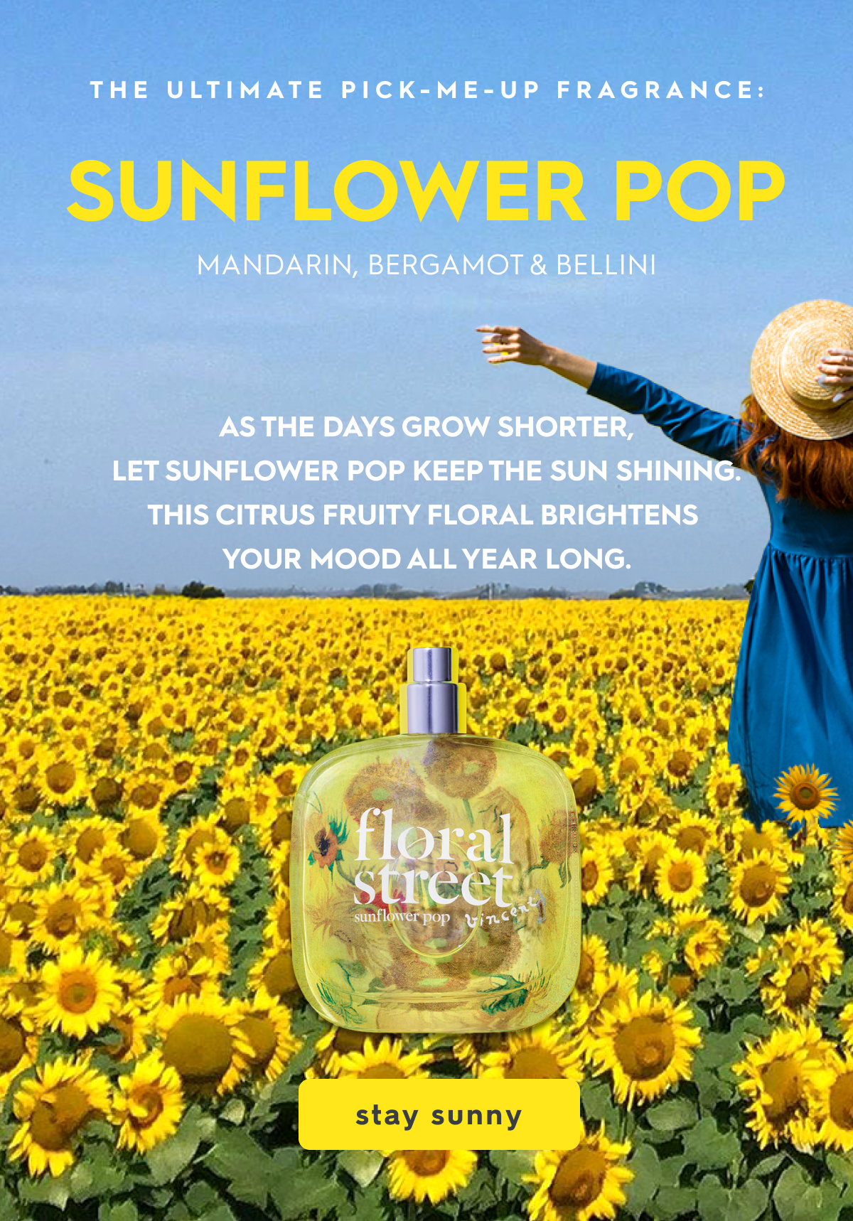 Sunflower Pop