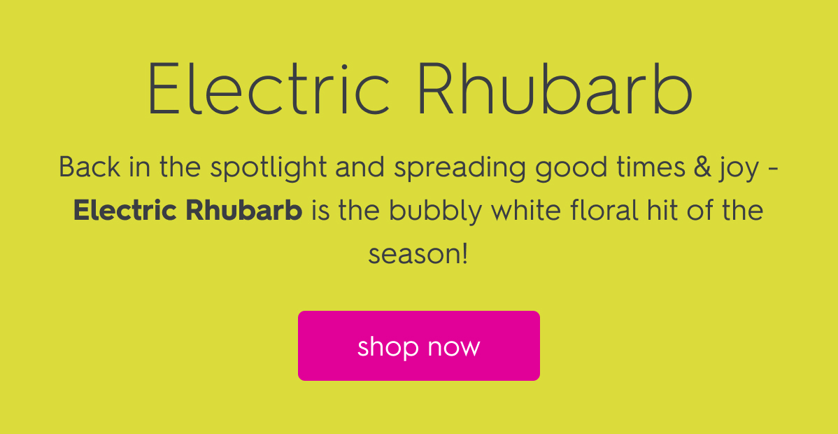 Shop Electric Rhubarb Now