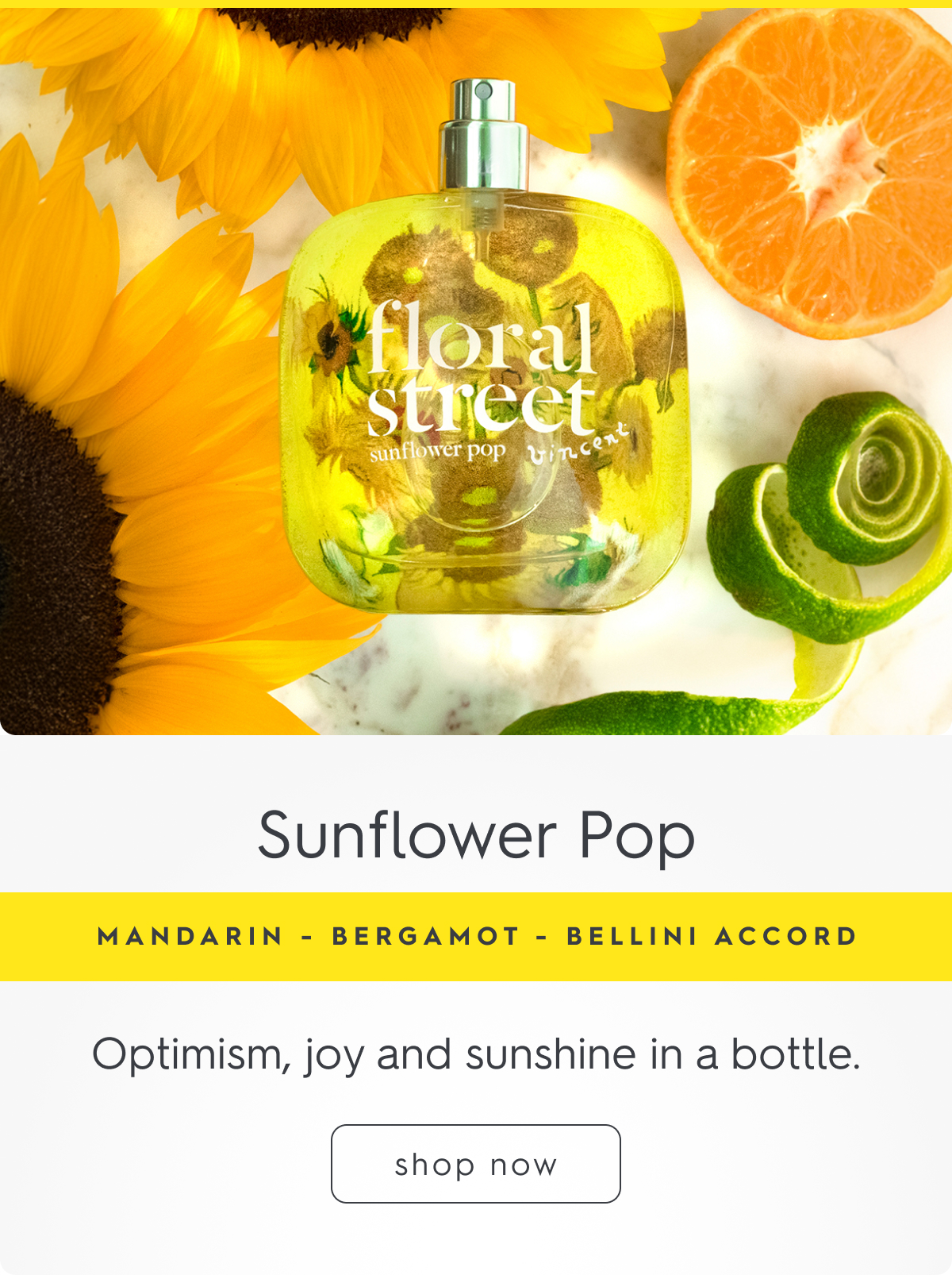 Sunflower Pop