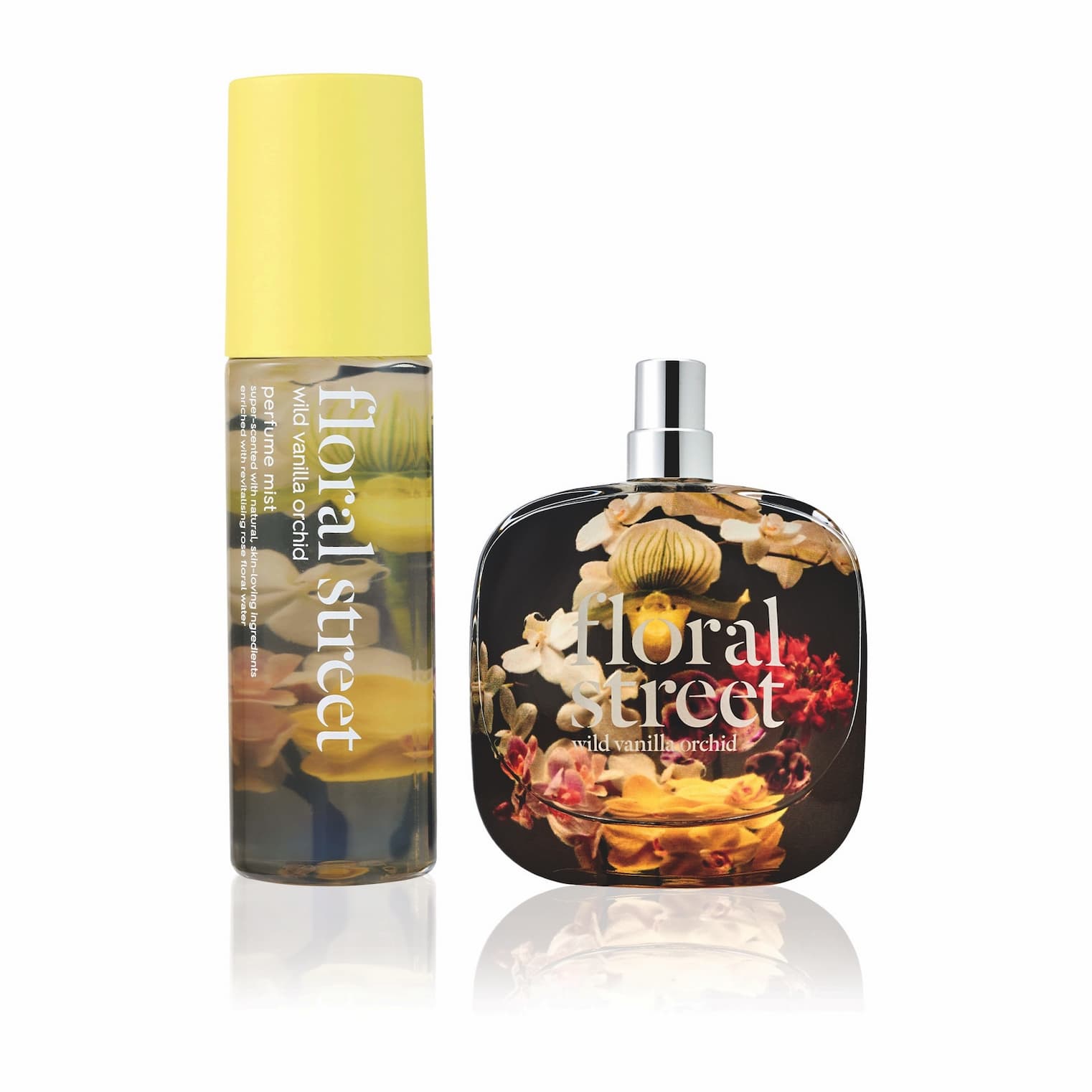 Wild Vanilla Orchid Bundle