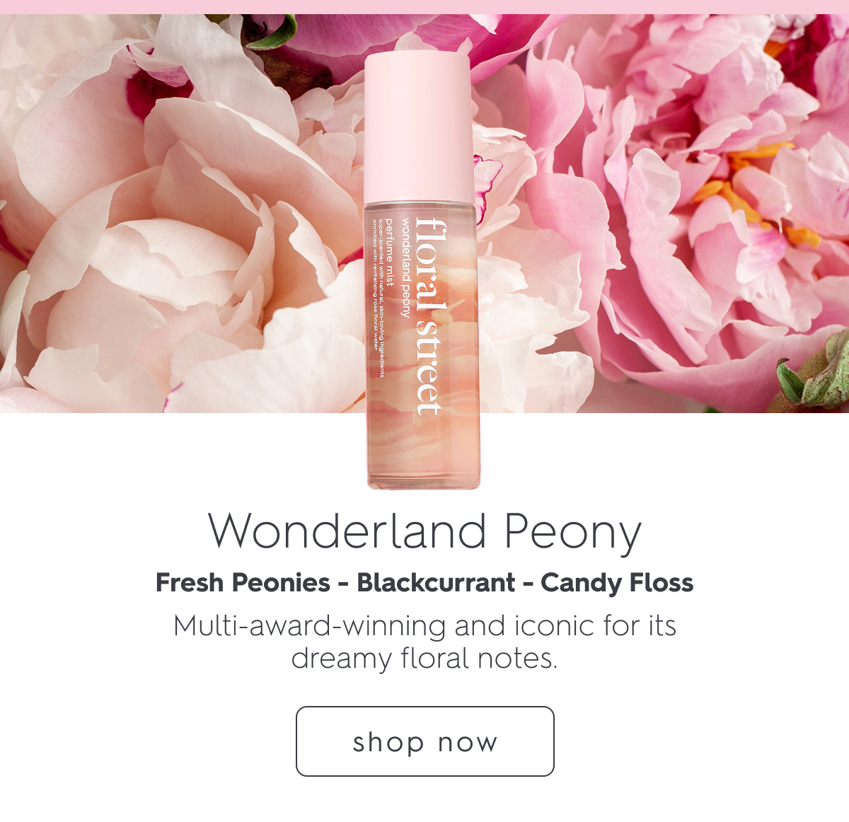 Wonderland Peony