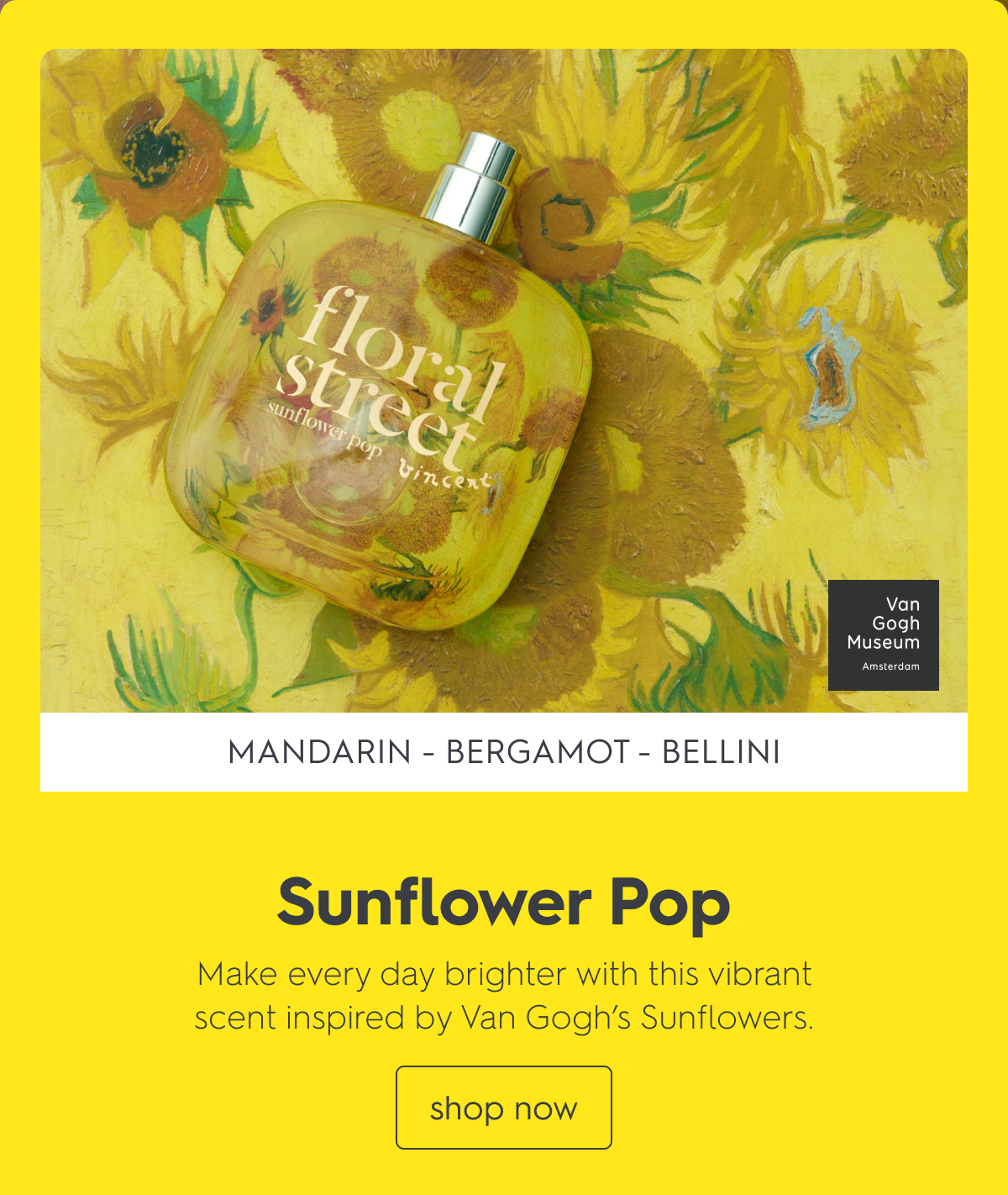 Sunflower Pop