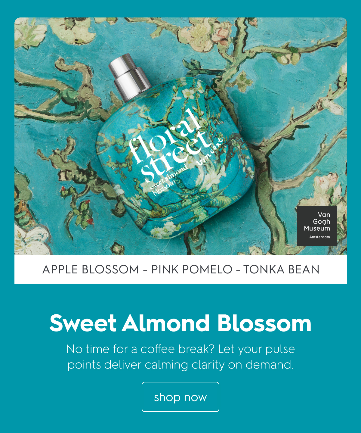 Sweet Almond Blossom