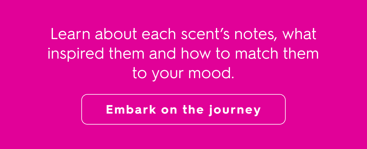 Embark on the journey
