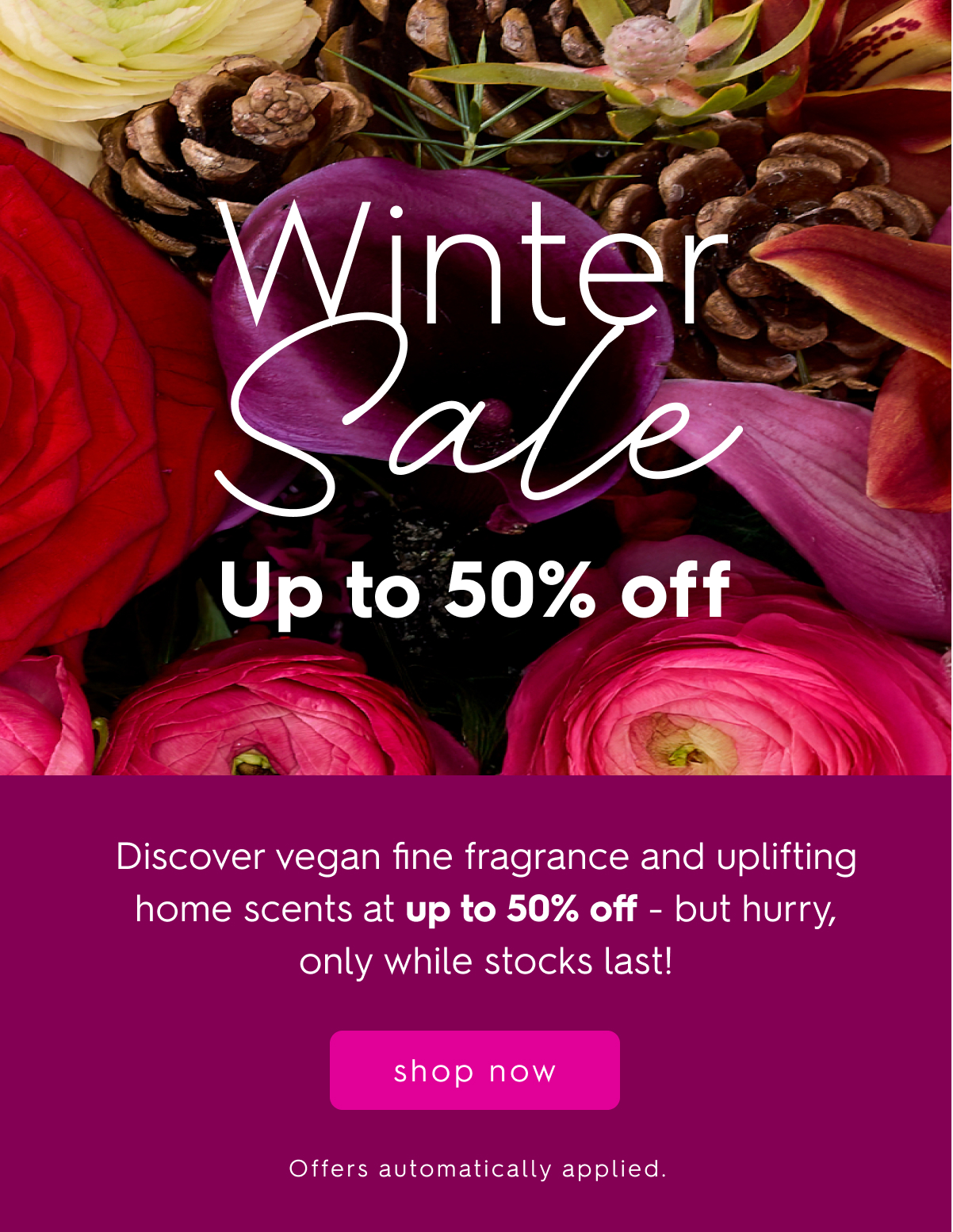 Winter Sale