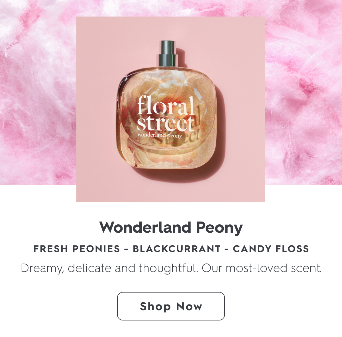 Shop Wonderland Peony