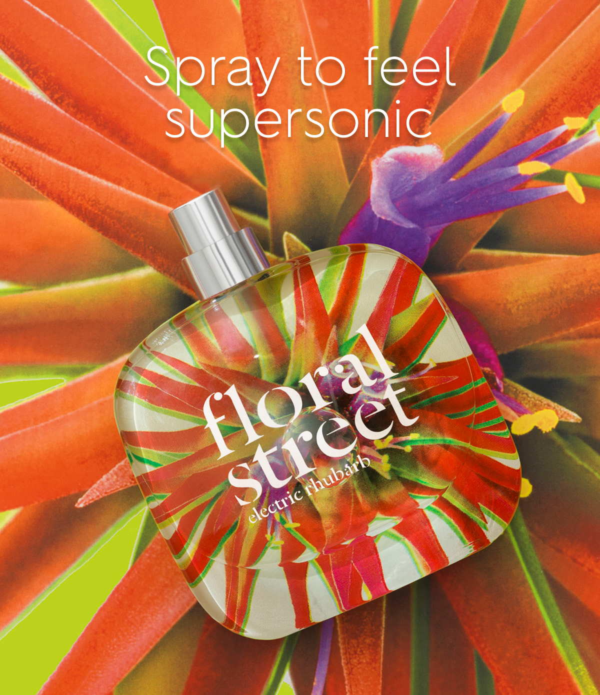 Discover the iconic summer scent