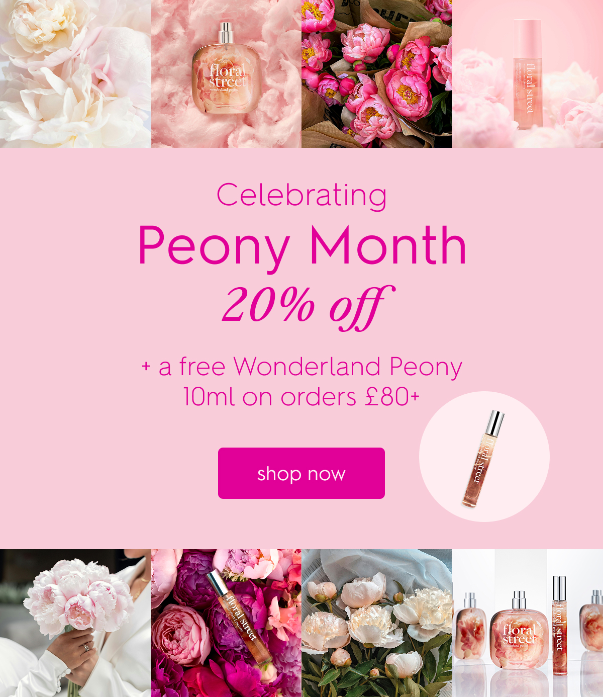 Celebrating Peony Month