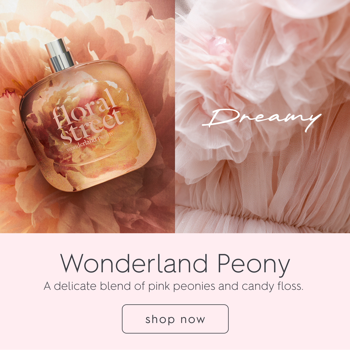 Wonderland Peony