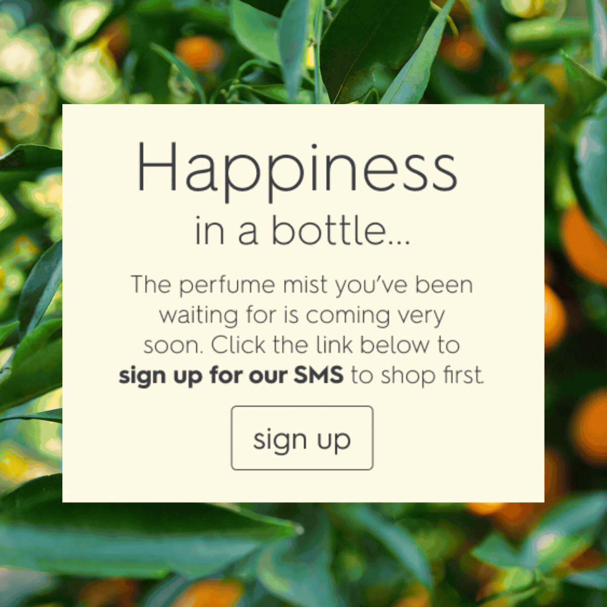  Happiness awaits...