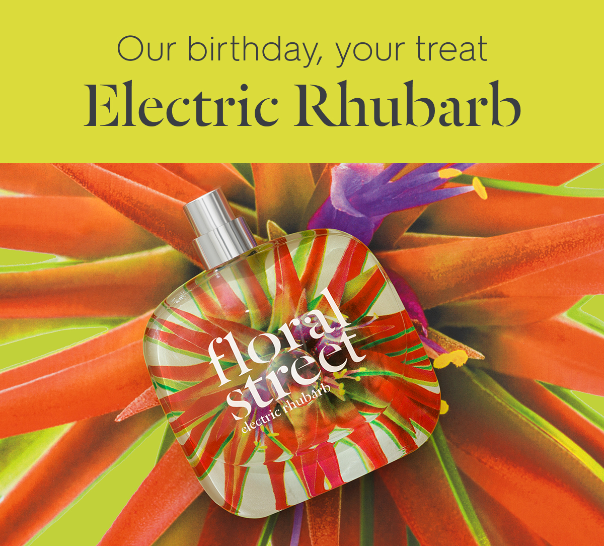Our birthday, your treat Electric Rhubarc