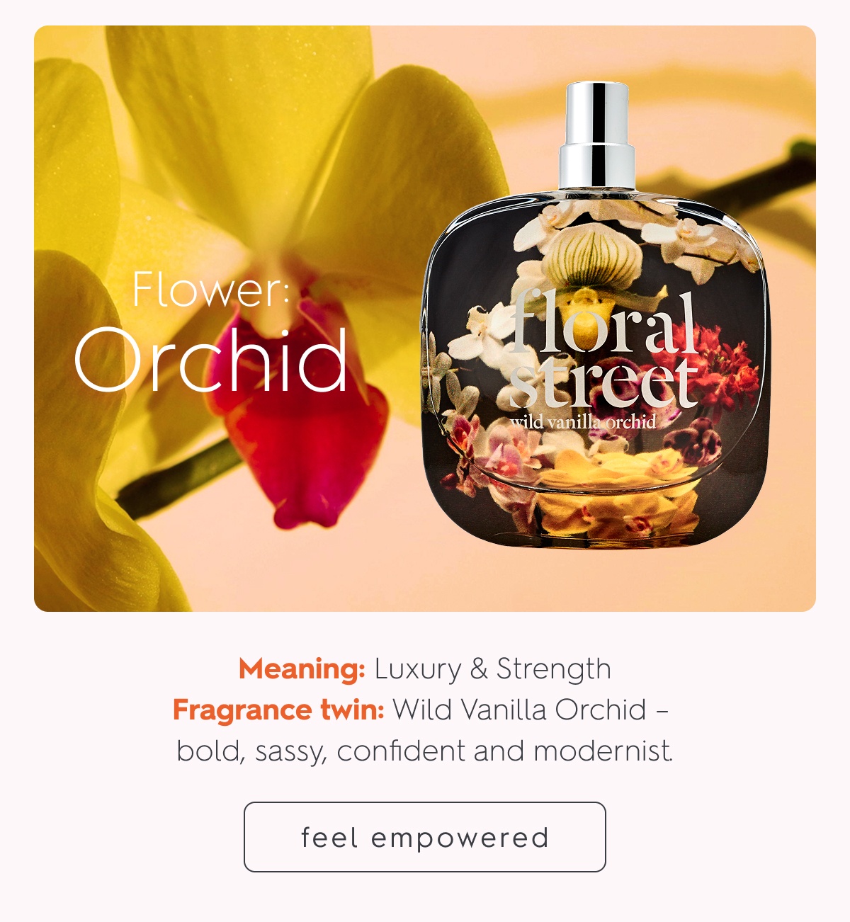 Wild Vanilla Orchid Eau de Parfum