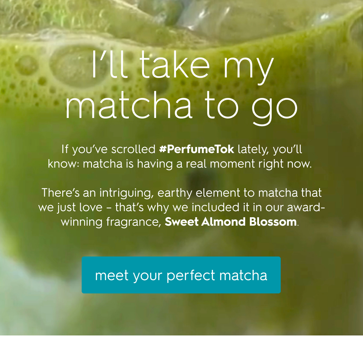 meet your perfect matcha
