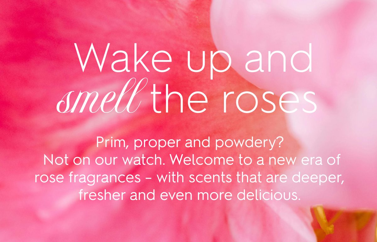 The enduring romance of roses