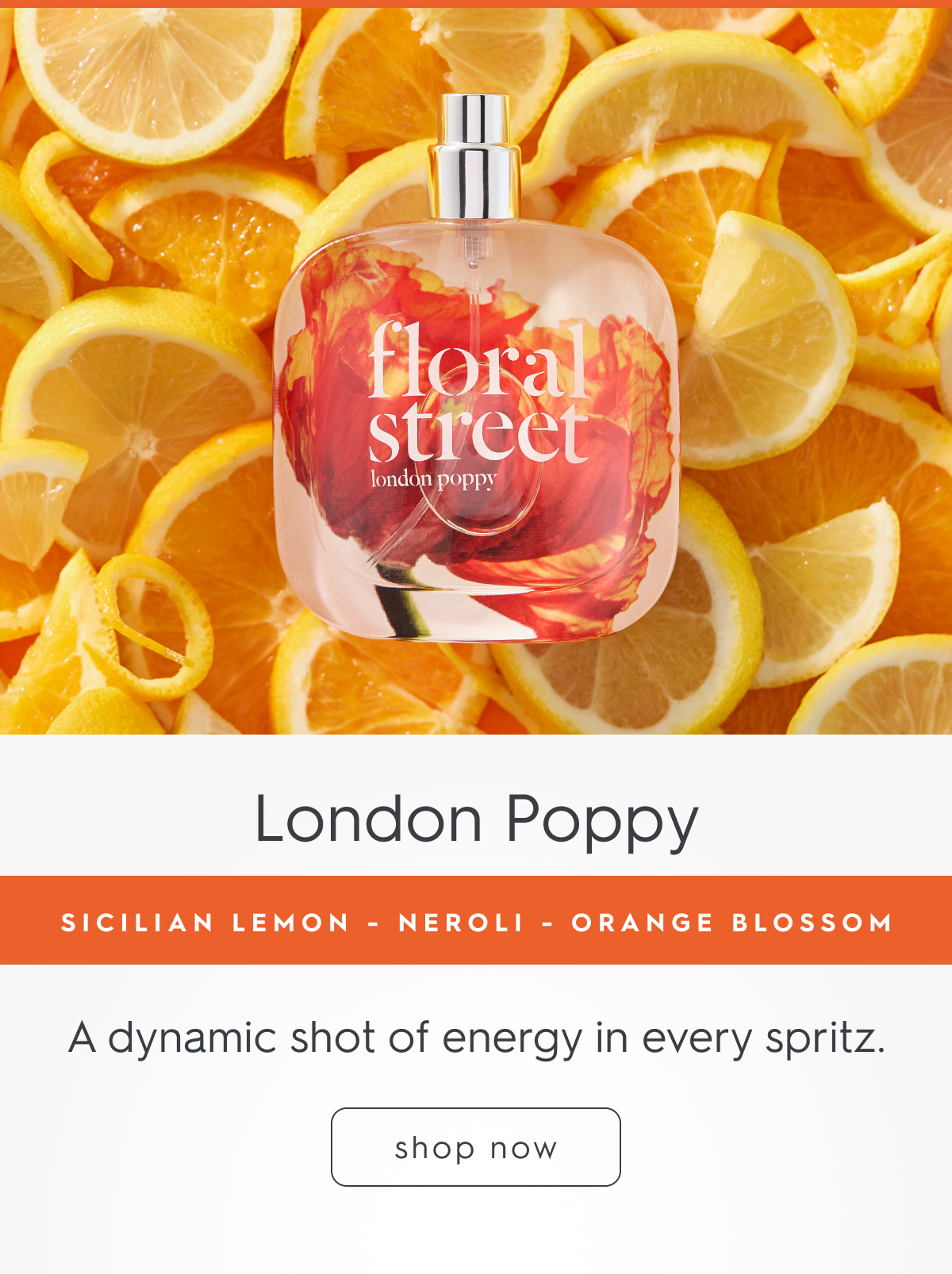 London Poppy
