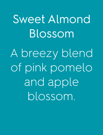 Sweet Almond Blossom A breezy blend of pink pomelo and apple blossom.