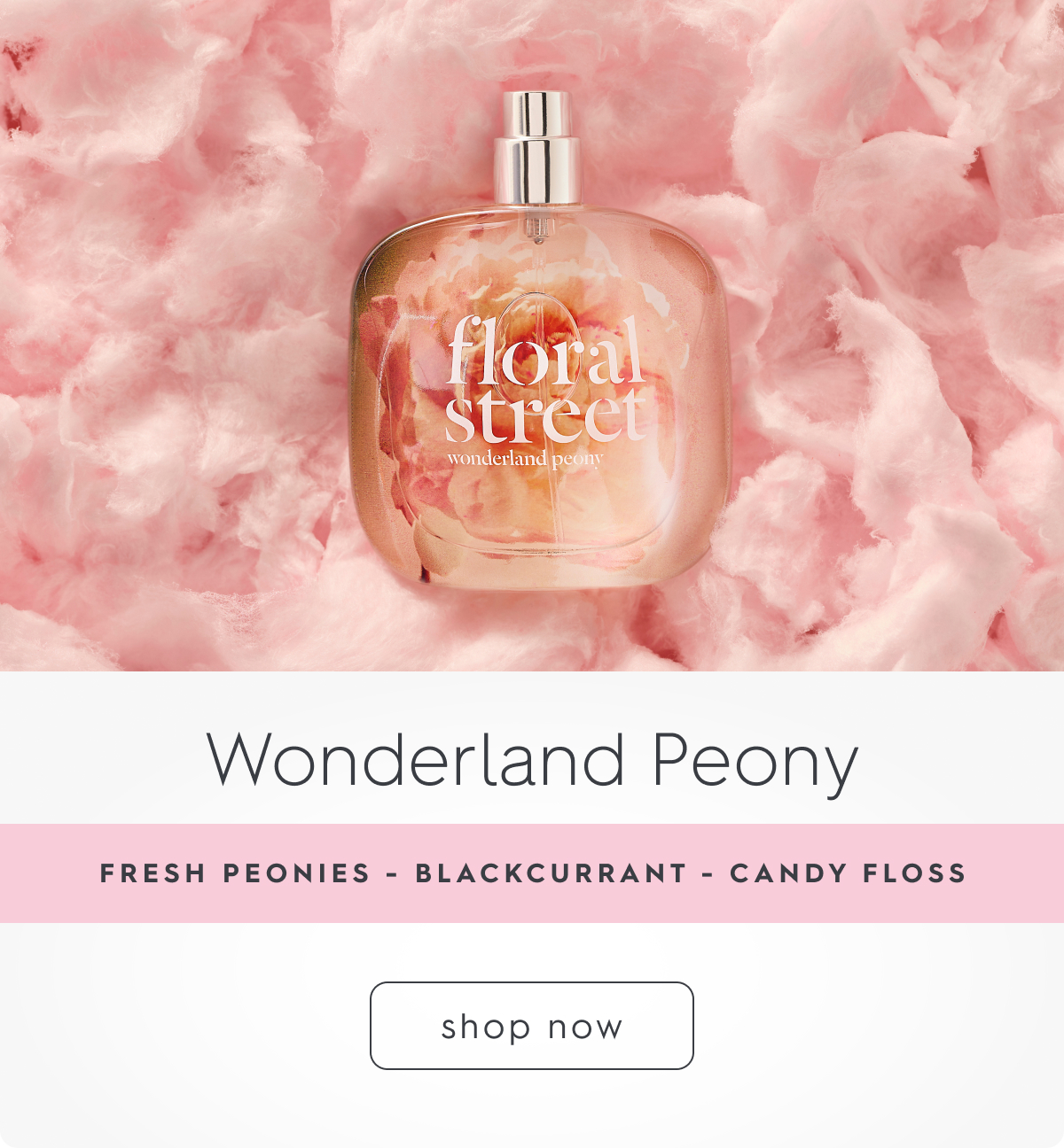 Wonderland Peony