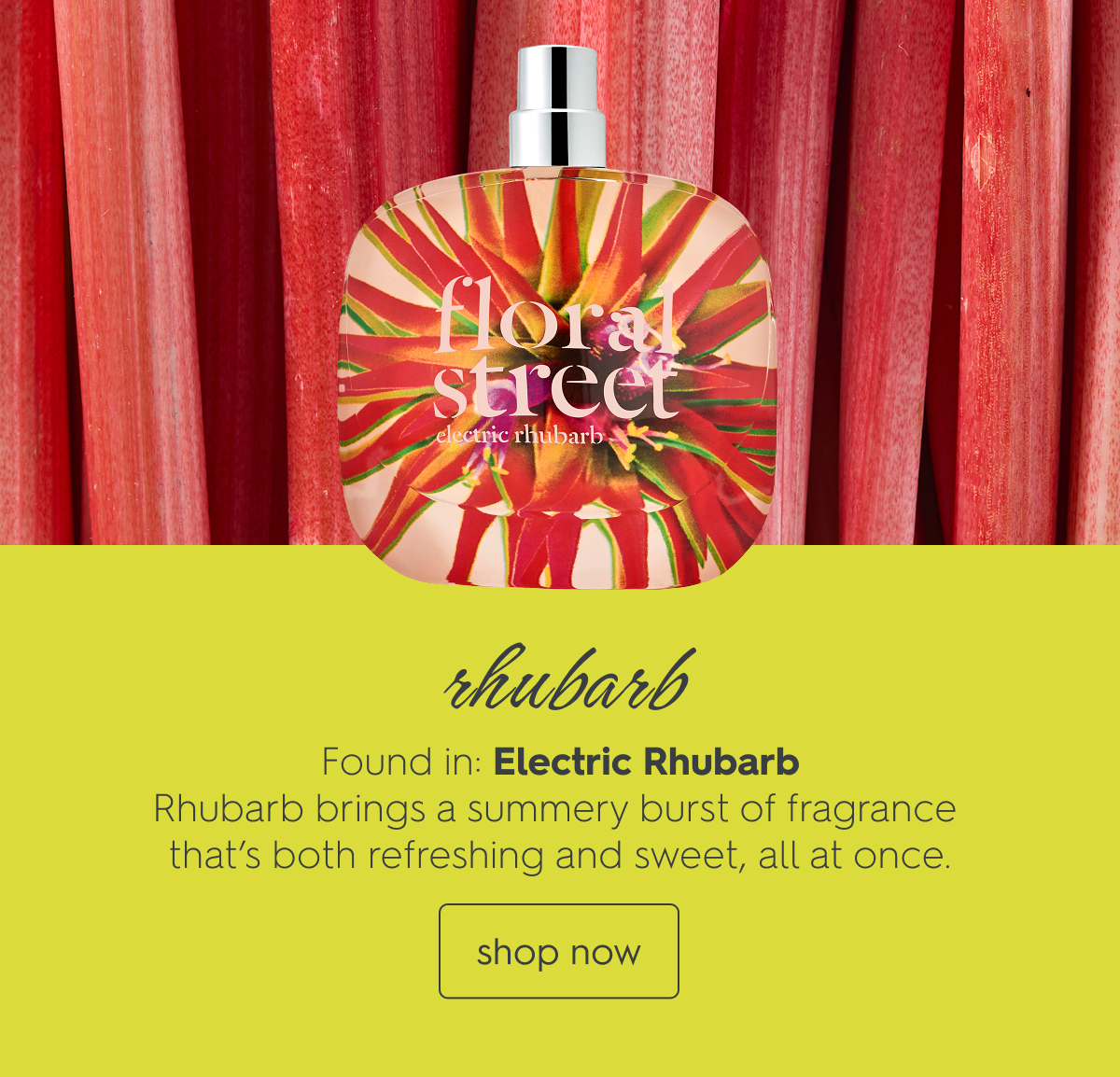 Electric Rhubarb Eau de Parfum