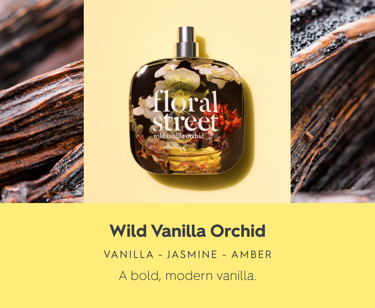 WIld Vanilla Orchid