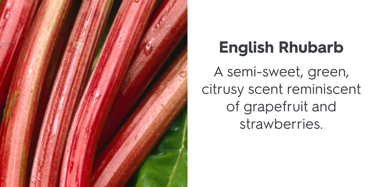 English Rhubarb
