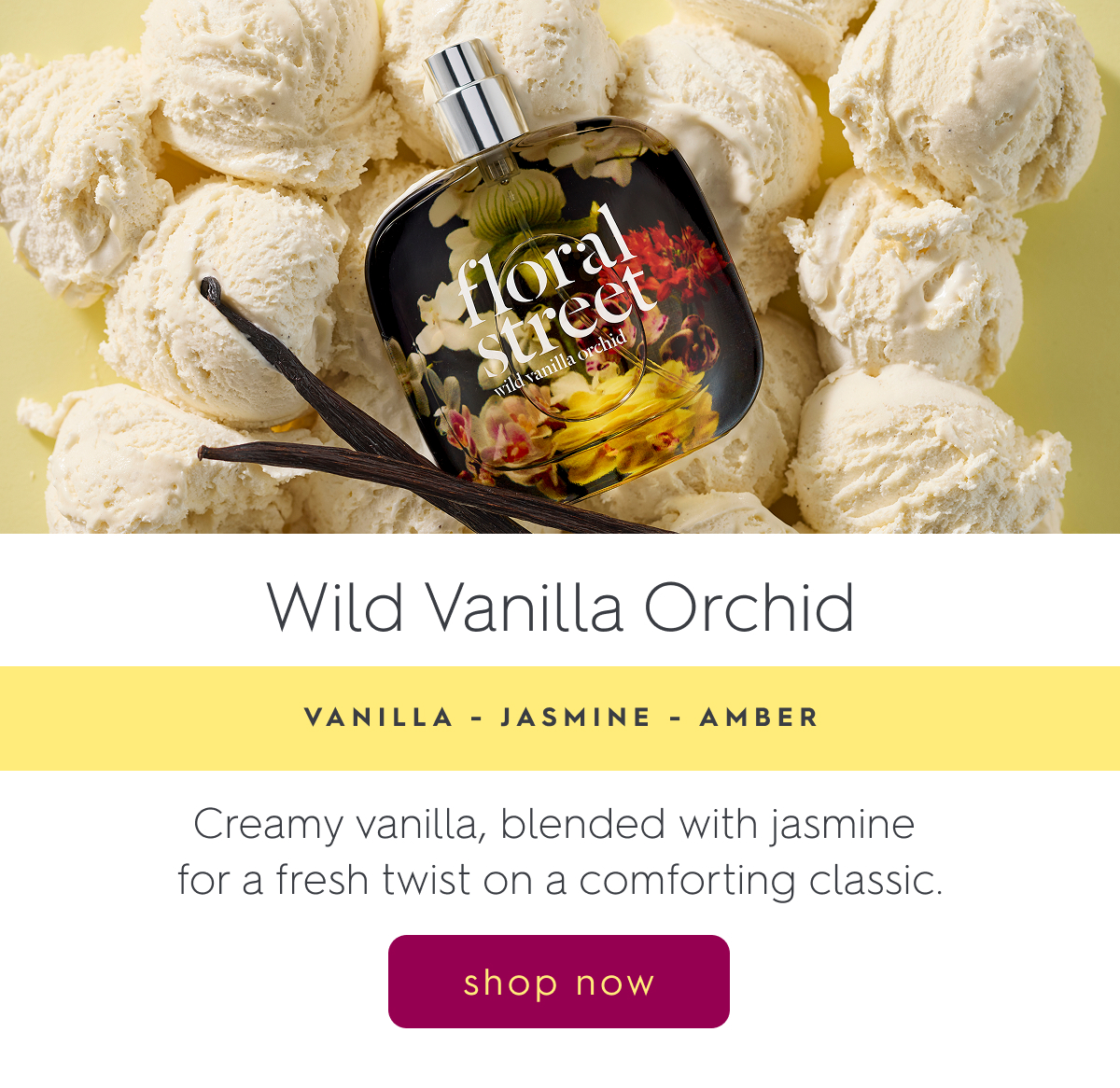 Wild Vanilla Orchid