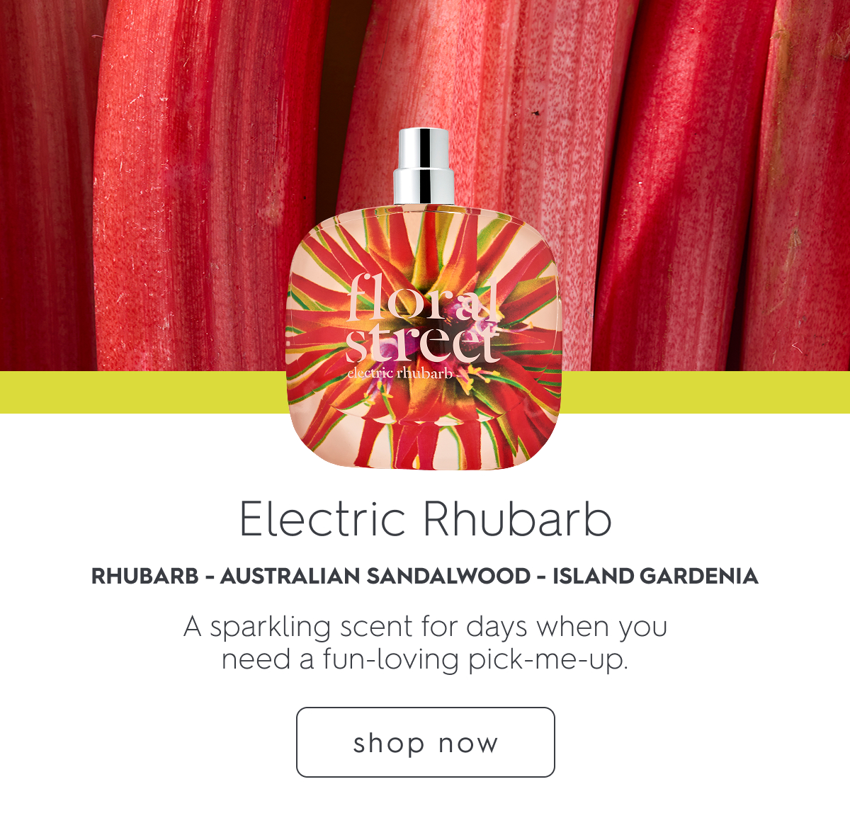 Electric Rhubarb