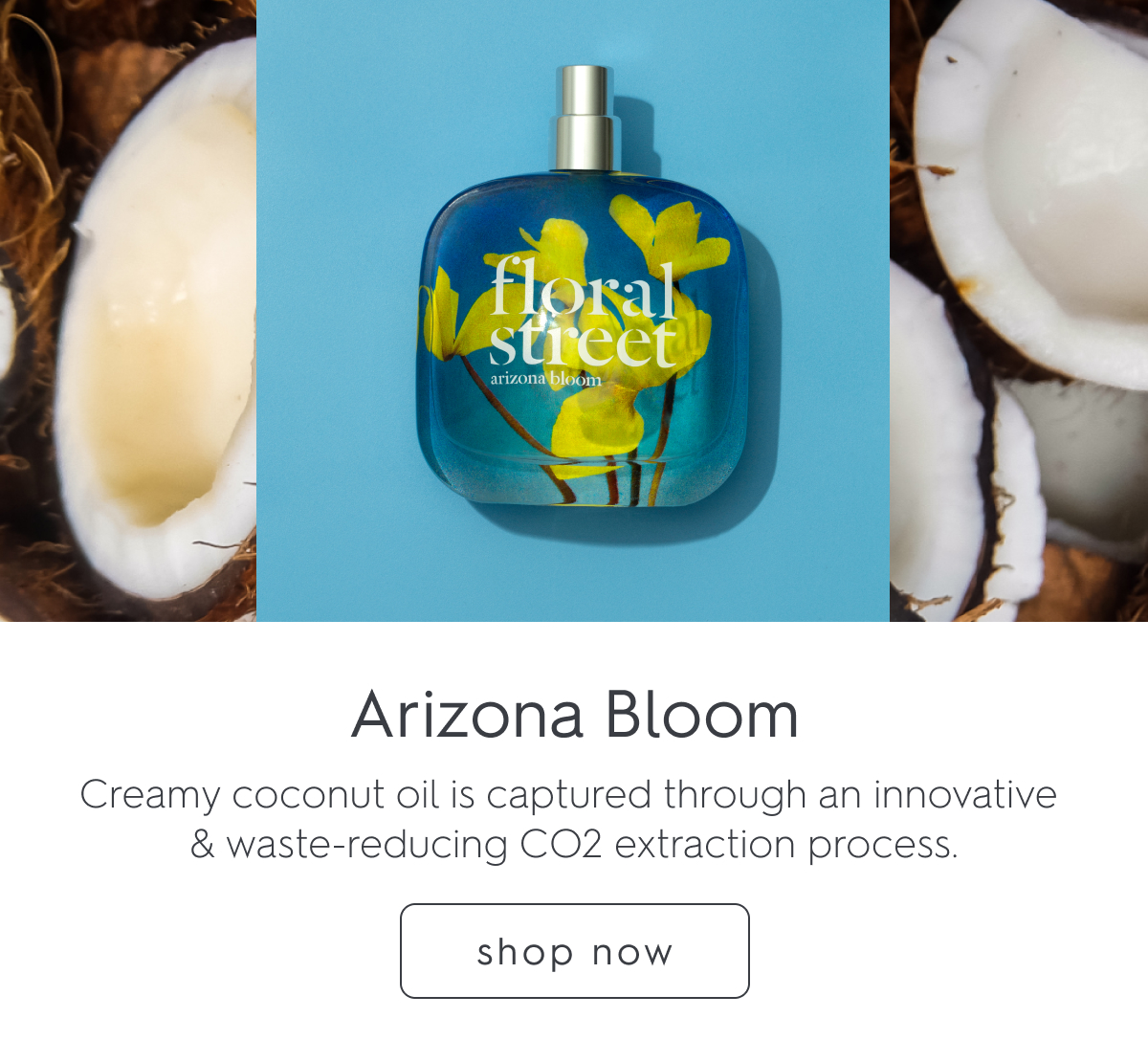 Arizona Bloom