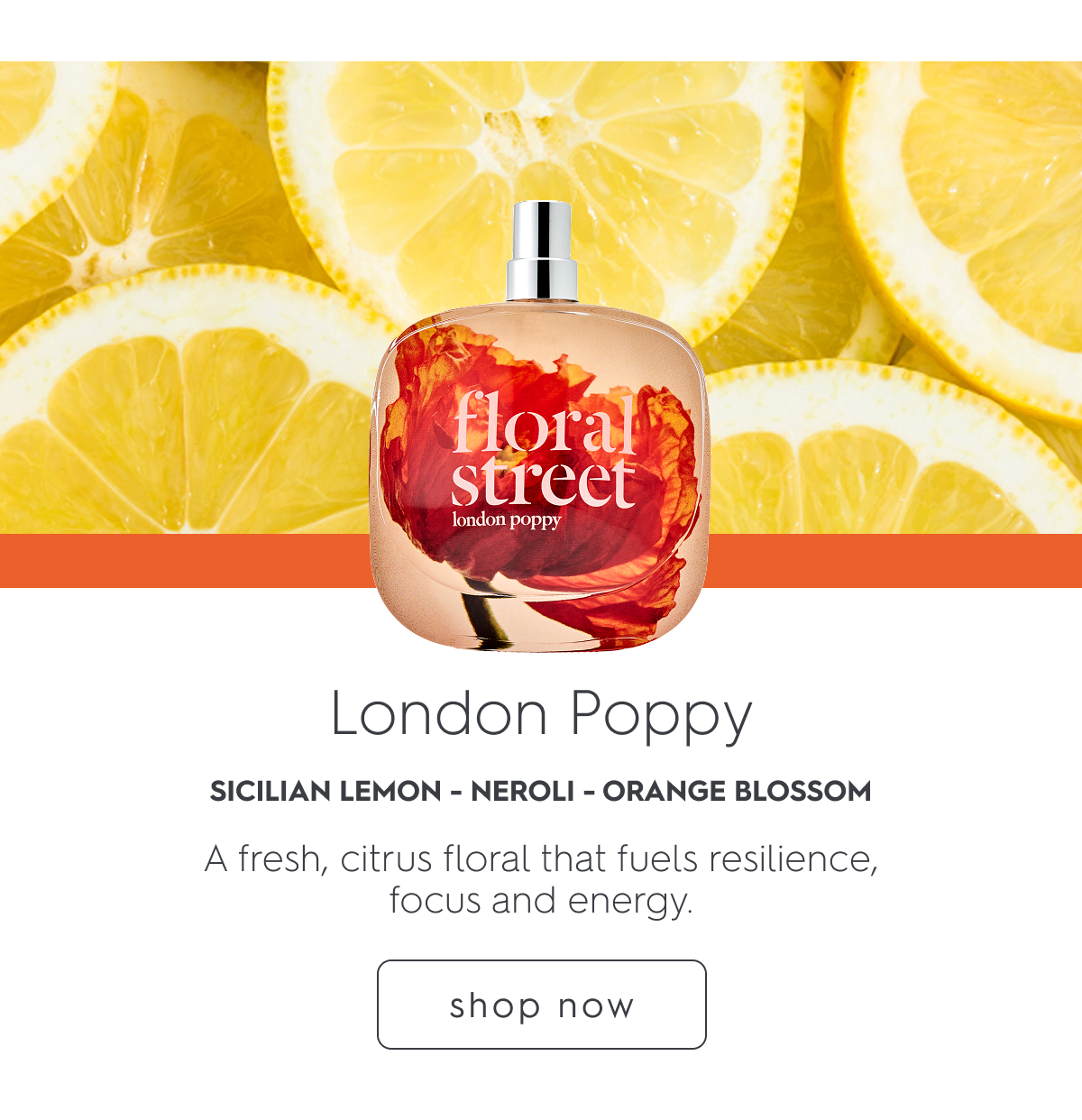 London Poppy