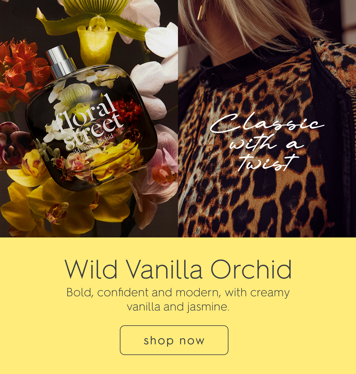 Wild Vanilla Orchid