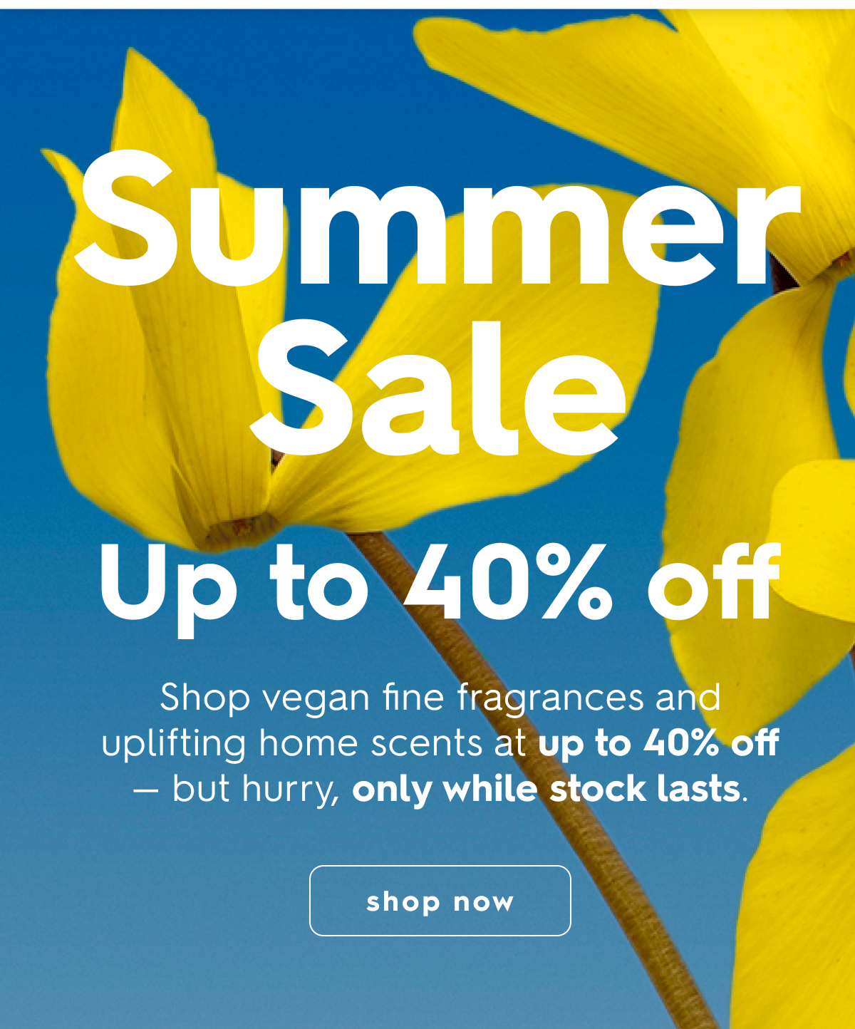 Summer Sale
