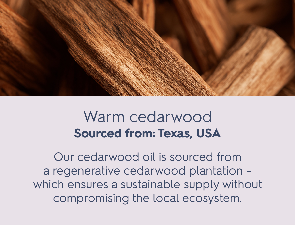 Warm cedarwood